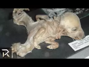 Video: 10 CREEPIEST Creatures Discovered After Radioactive Events